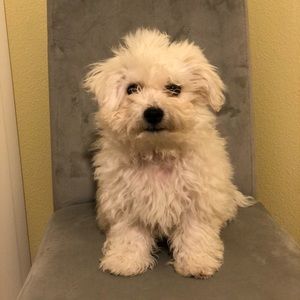 Meet your Posher, Julianna